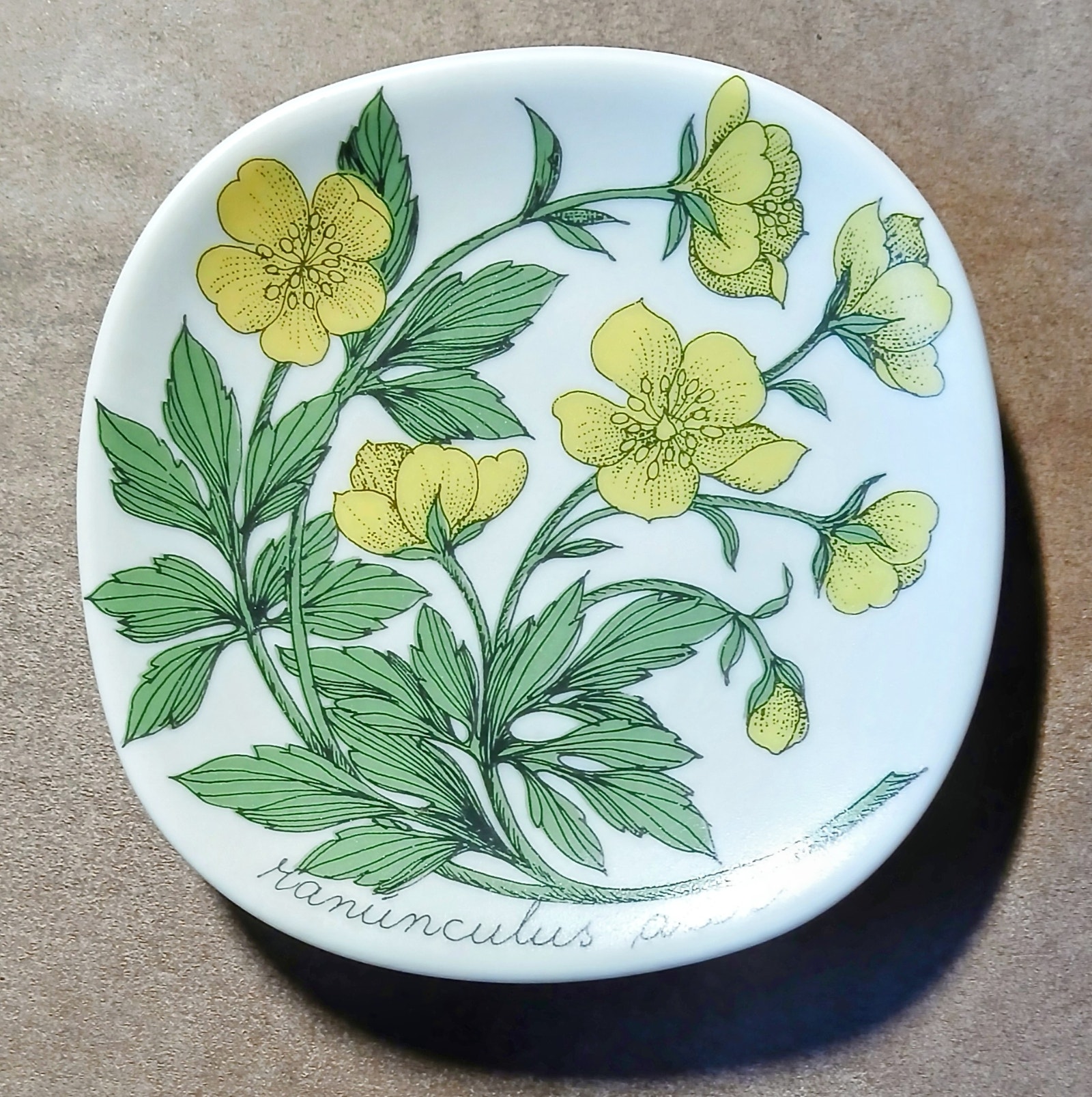 Arabia, Botanica, Esteri Tomula, Niittyleinikki, seinälautanen | Tori