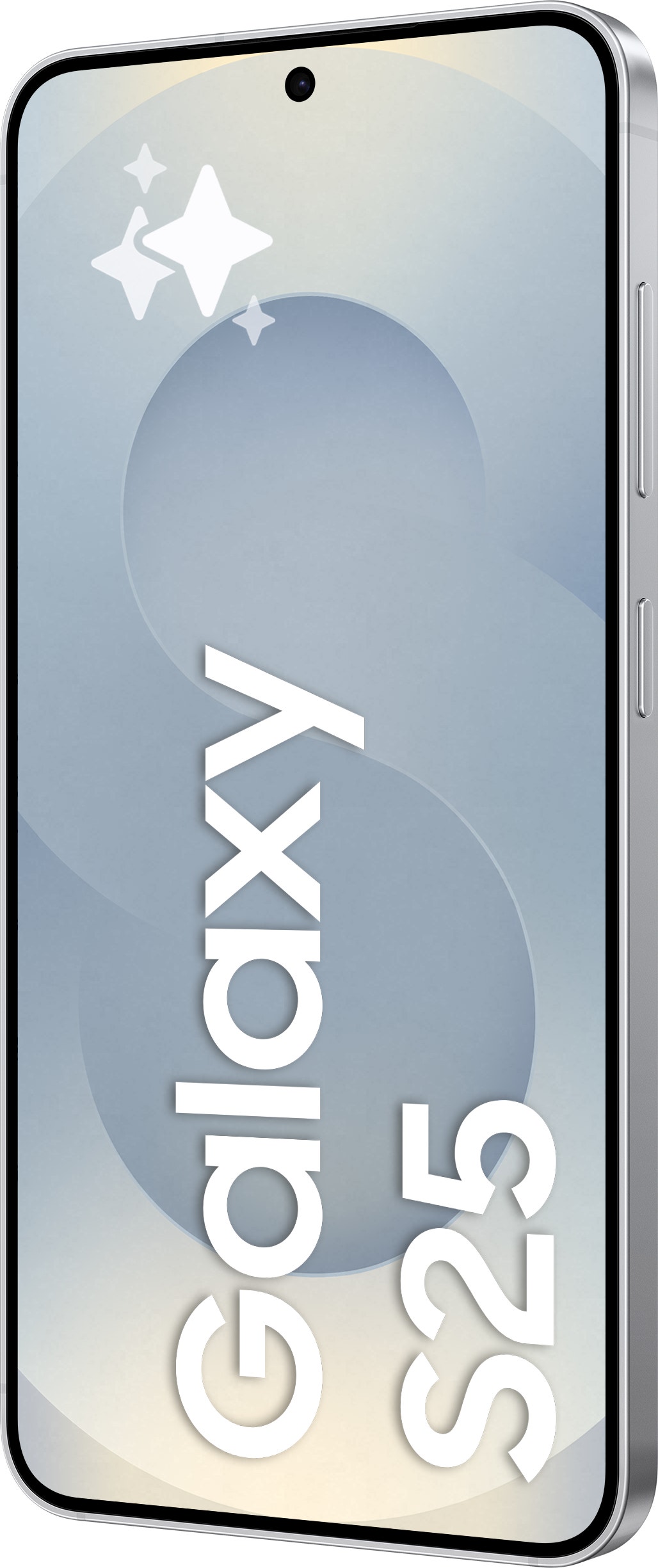 Samsung Galaxy S25 5G, 256 Gt, Silver Shadow | Tori