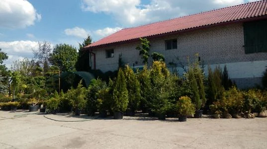 Kaupan Greenplant OÜ bannerikuva