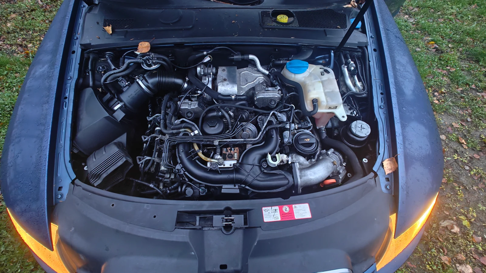 Kaupan Siiler kansikuva