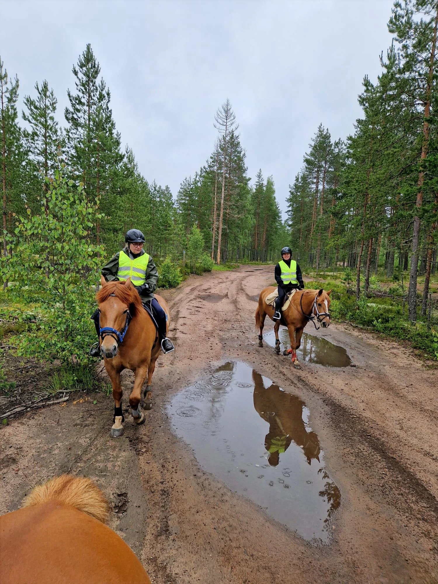 Kaupan Niinisalon Ratsastajat ry kansikuva