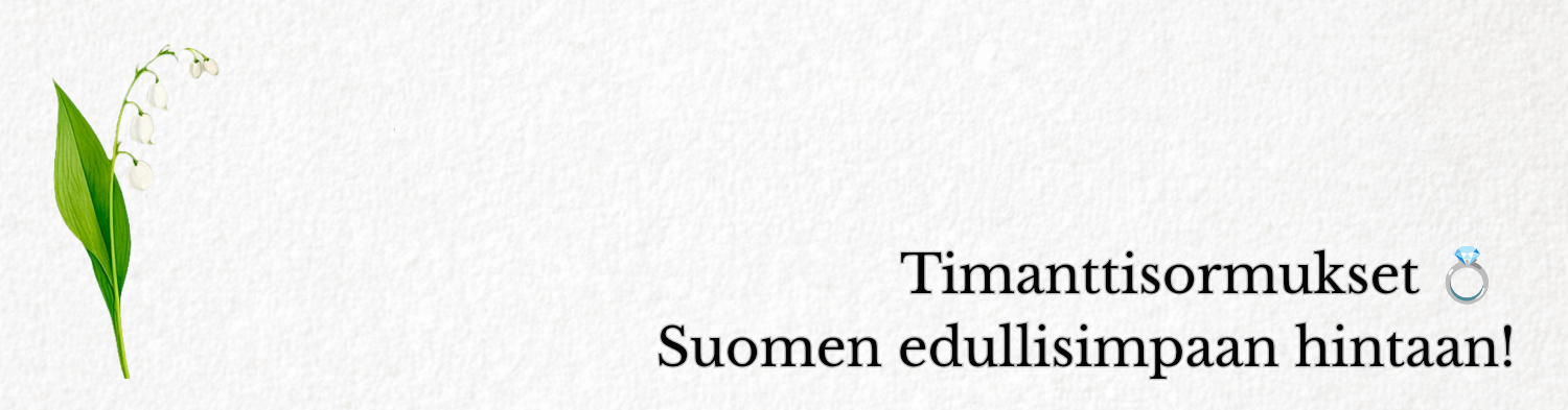 Kaupan Jani Risikko Tmi kansikuva