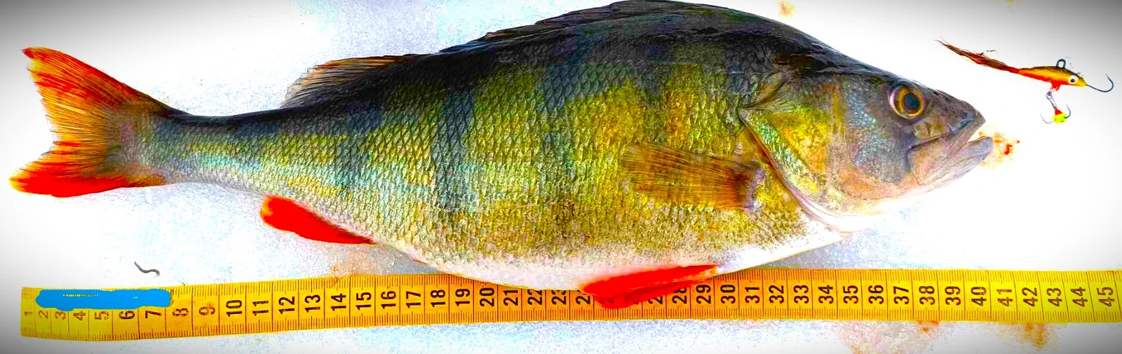 Kaupan Retkiliiteri kansikuva