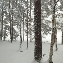 Profiilikuva käyttäjälle harvi