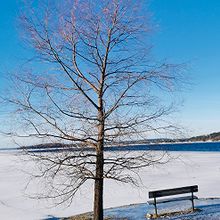 Profiilikuva käyttäjälle Sami