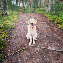 Profiilikuva käyttäjälle Jaana