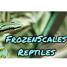 Profiilikuva käyttäjälle Frozen Scales Reptiles