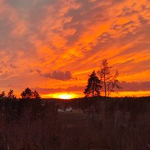 Profiilikuva käyttäjälle hillaosara