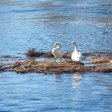 Profiilikuva käyttäjälle alexi_rasanen