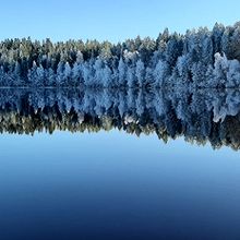 Profiilikuva käyttäjälle Petja Mannermaa