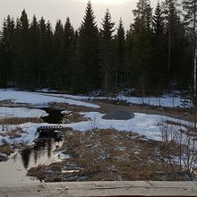 Profiilikuva käyttäjälle Janne räisänen