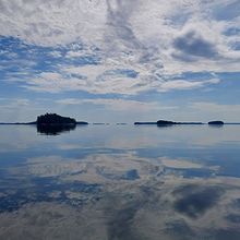 Profiilikuva käyttäjälle Mari