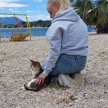 Profiilikuva käyttäjälle Larkkonen