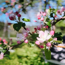 Profiilikuva käyttäjälle Sanna