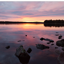 Profiilikuva käyttäjälle Juha Sipponen