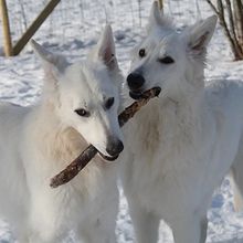 Profiilikuva käyttäjälle Anette Annala