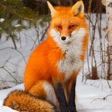 Profiilikuva käyttäjälle Leevi