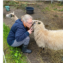 Profiilikuva käyttäjälle elina