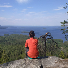 Profiilikuva käyttäjälle Mariia