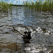 Profiilikuva käyttäjälle Meri