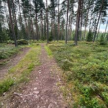 Profiilikuva käyttäjälle Sampo Nokka