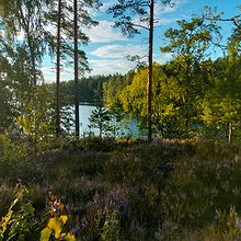 Profiilikuva käyttäjälle Tomppa