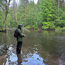 Profiilikuva käyttäjälle Seppo