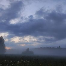 Profiilikuva käyttäjälle nebuouo