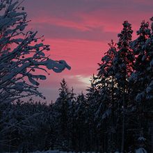 Profiilikuva käyttäjälle TLinna