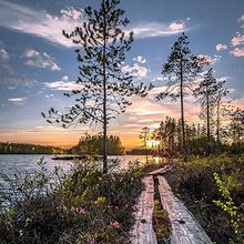 Profiilikuva käyttäjälle Pekkala Päivi