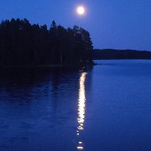 Profiilikuva käyttäjälle blackmore