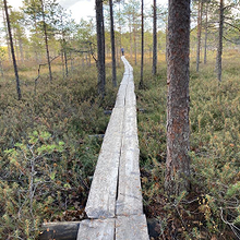 Profiilikuva käyttäjälle Eero Tikkanen