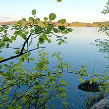 Profiilikuva käyttäjälle Lahma