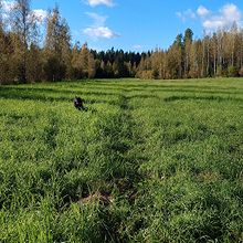 Profiilikuva käyttäjälle Katri