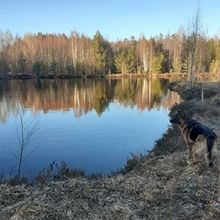 Profiilikuva käyttäjälle Mea