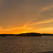 Profiilikuva käyttäjälle jansku