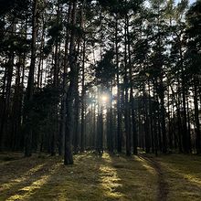 Profiilikuva käyttäjälle Marko