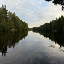 Profiilikuva käyttäjälle JK