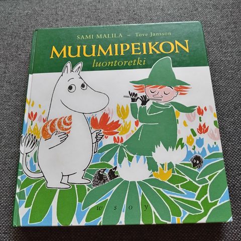 Ilmoituksen kuva