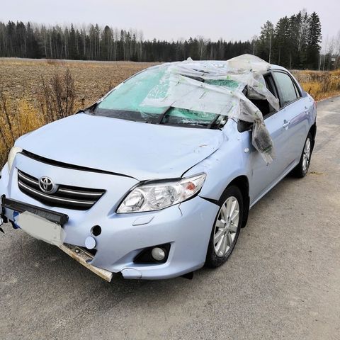 Ilmoituksen kuva