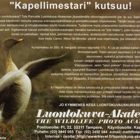 Ilmoituksen kuva