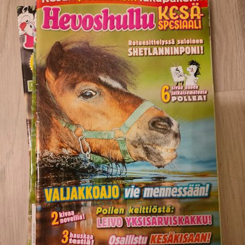 Ilmoituksen kuva