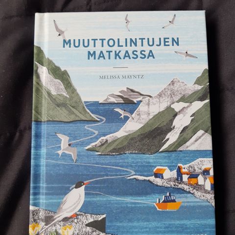 Ilmoituksen kuva