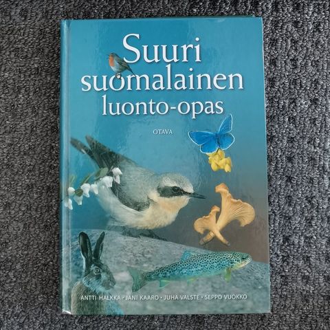 Ilmoituksen kuva