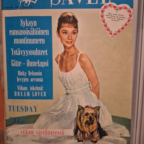 Ilmoituksen kuva