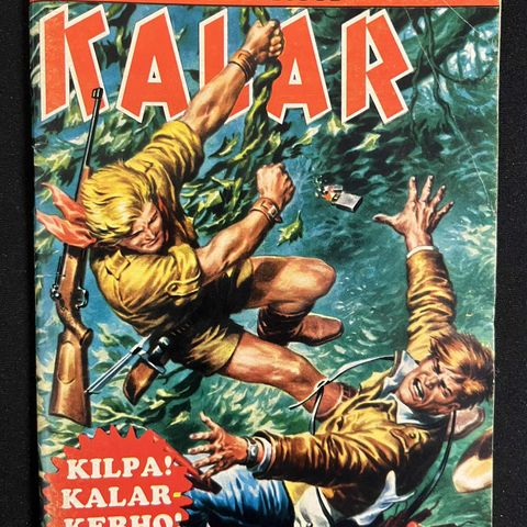 Ilmoituksen kuva