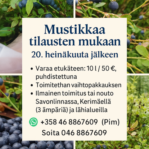 Ilmoituksen kuva