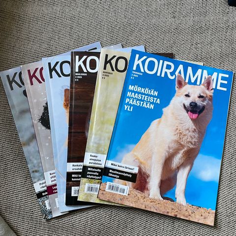 Ilmoituksen kuva