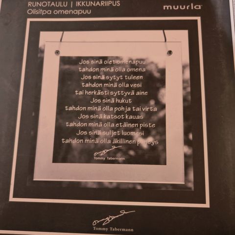 Ilmoituksen kuva