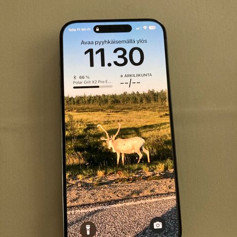 Ilmoituksen kuva
